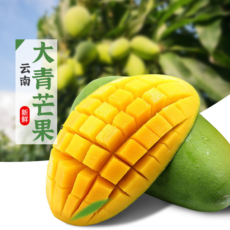 云南大青芒果甜芒果新鲜水果产地直发 大青芒果 含箱10斤一级果