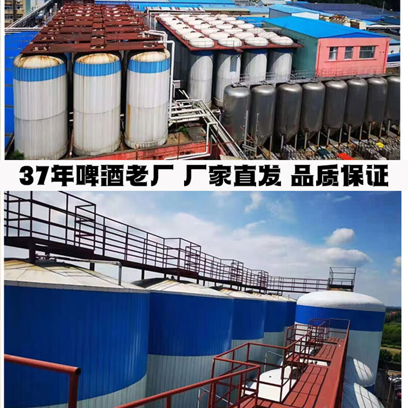 劲派无糖啤酒0糖0脂肪0碳水无添加拉格零糖零脂全麦精酿零糖啤酒整箱 零糖啤酒 500mL 12罐 礼盒装