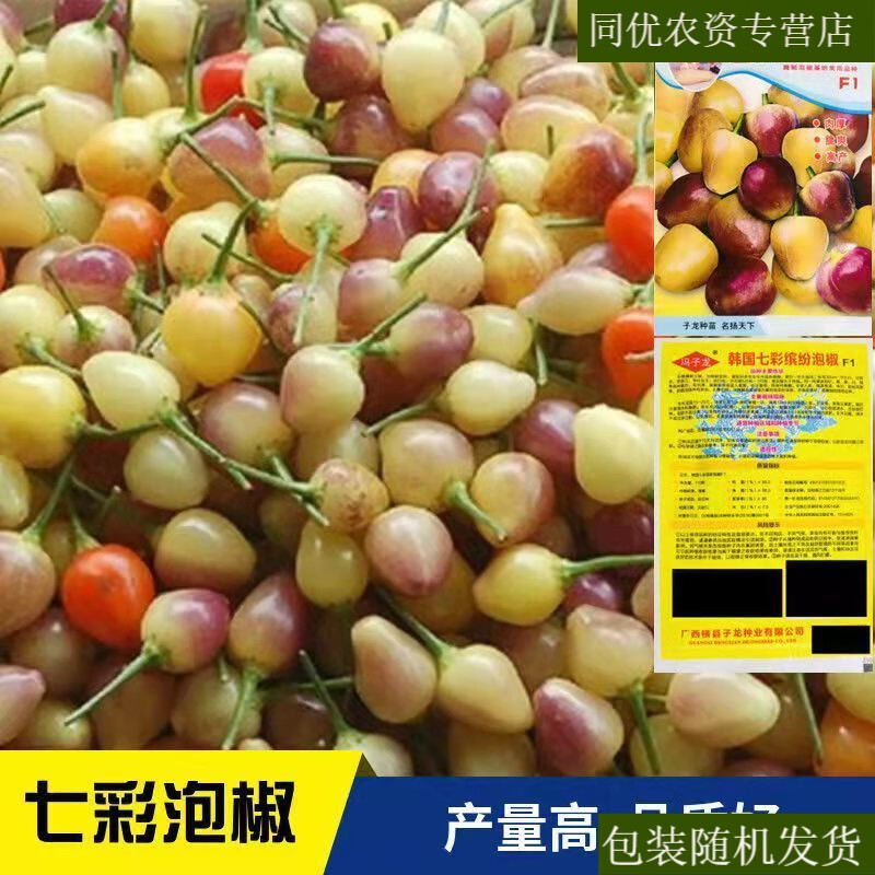 五彩泡椒种子 灯笼椒珍珠椒蔬菜种子春秋播盆栽辣椒 七彩泡椒种子 1包
