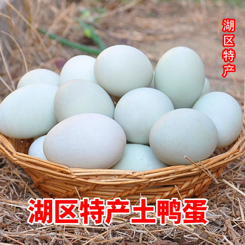 蜜鲜湾 正宗野湖散养新鲜生鸭蛋青壳农家土鸭蛋生态麻鸭蛋 30枚 50-60