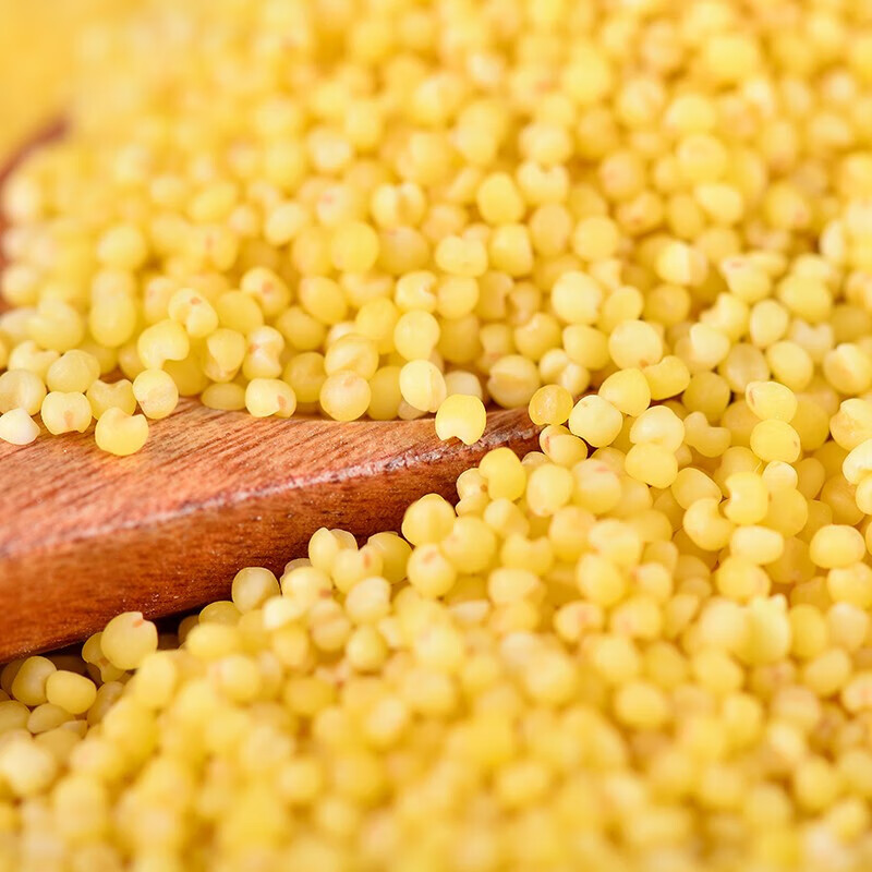 虎钢馋黄小米新米米脂丰富五谷杂粮粗粮月子宝宝小米粥小黄米粥粟米