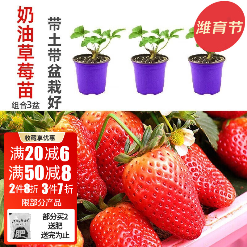 蔬菜类历史价格查询|蔬菜类价格比较