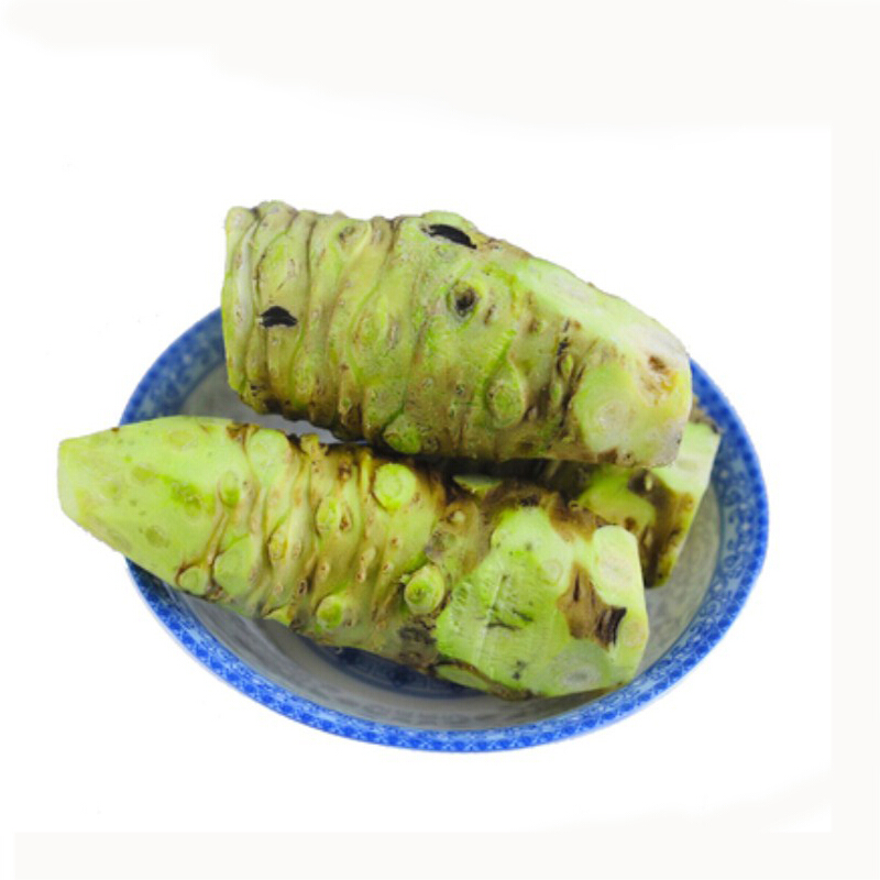 zxc云南新鲜山葵根 植物芥末辣根鲜芥末根寿司磨辣根酱 60g 1-3根