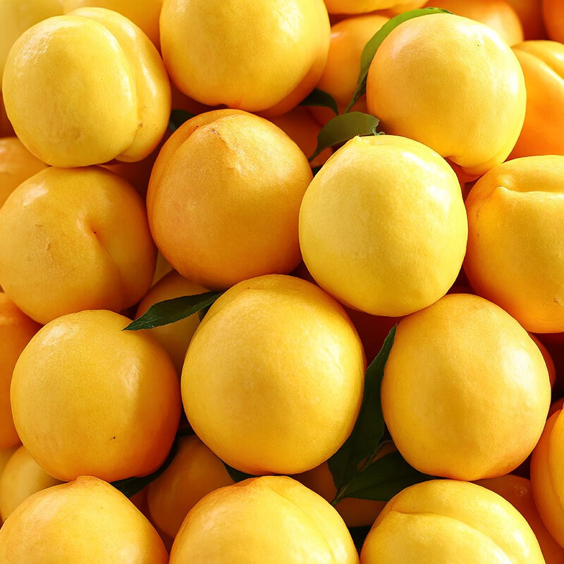 果粒果粒 黄金油桃 黄油桃 油桃  桃子 新鲜水果 5斤装