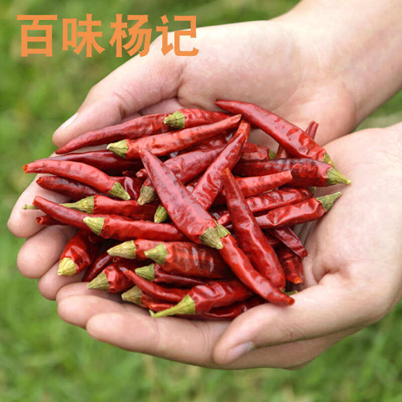 隽颜堂特辣朝天椒小米椒小米辣特辣干辣椒农家四川特产满天星500g