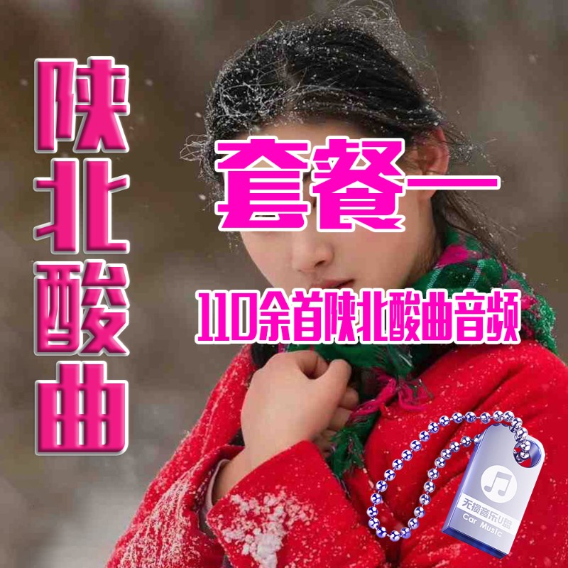 hknl陕北民歌陕北情歌酸曲纯正民族歌谣山歌情歌怀旧经典老歌车载u盘