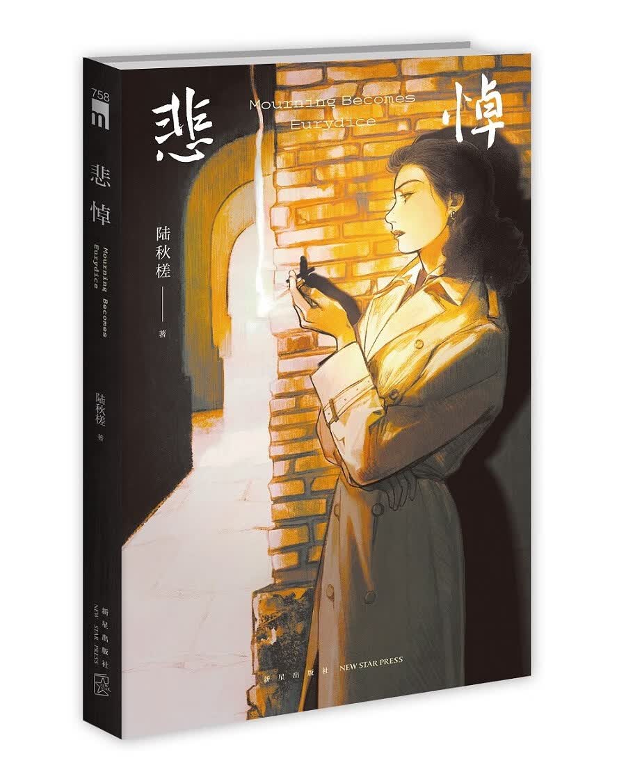 悲悼 （推理、科幻双栖作家 陆秋槎 时隔四年的推理新作  致敬冷硬派大师经典）高性价比高么？