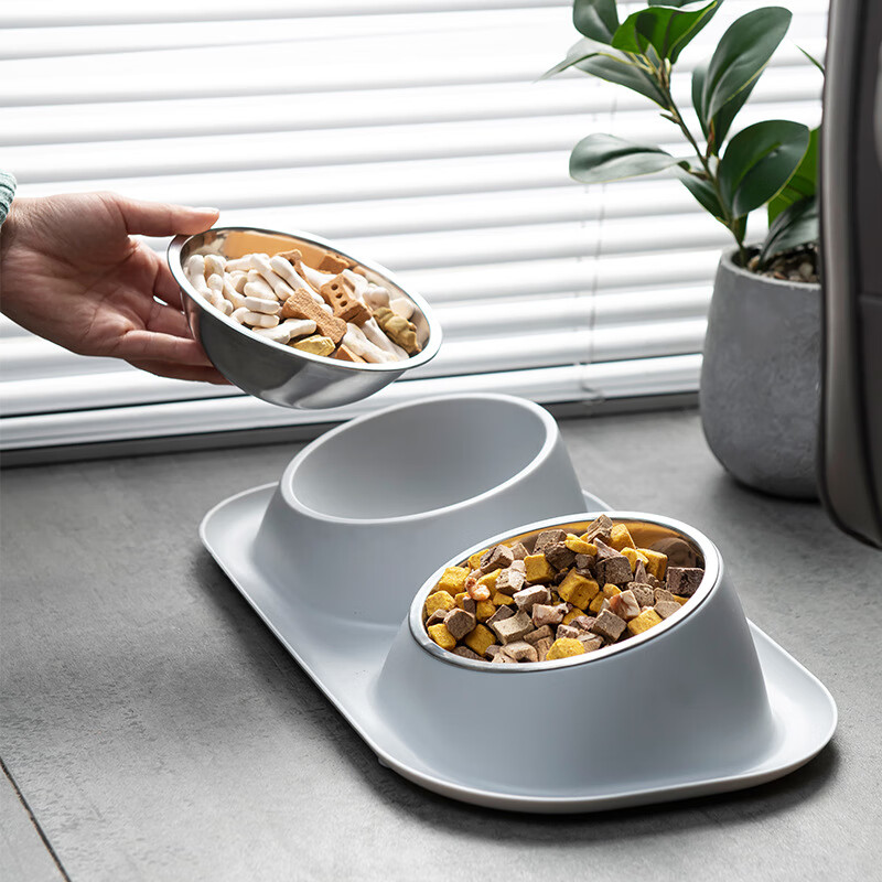 petofstory宠物碗不锈钢狗碗双碗 猫碗可拆卸护颈猫粮碗狗盆猫盆