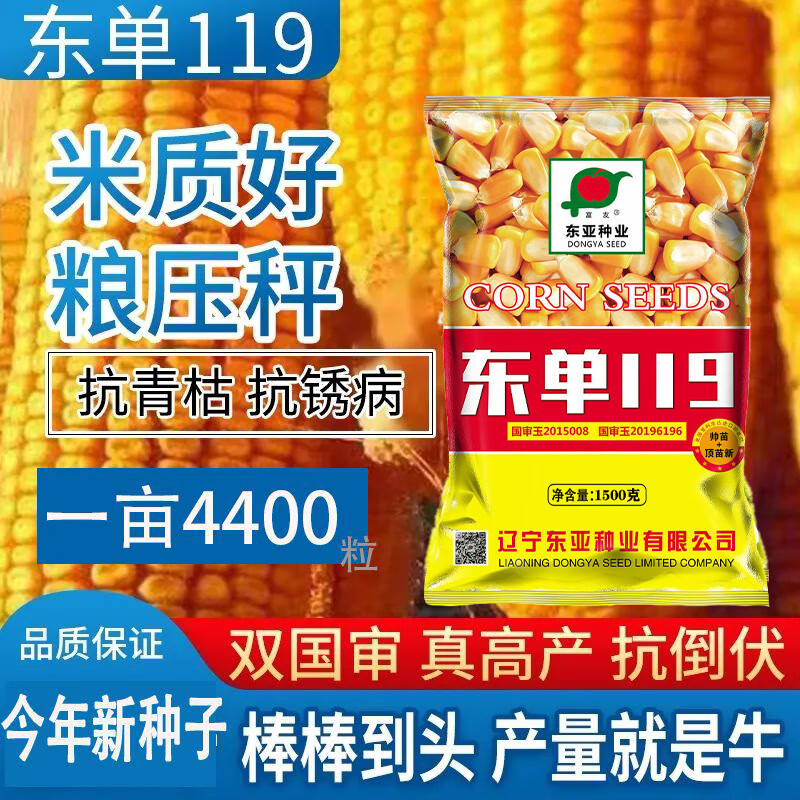 一亩地种什么产量最高(一亩地种什么产量最高的水稻)