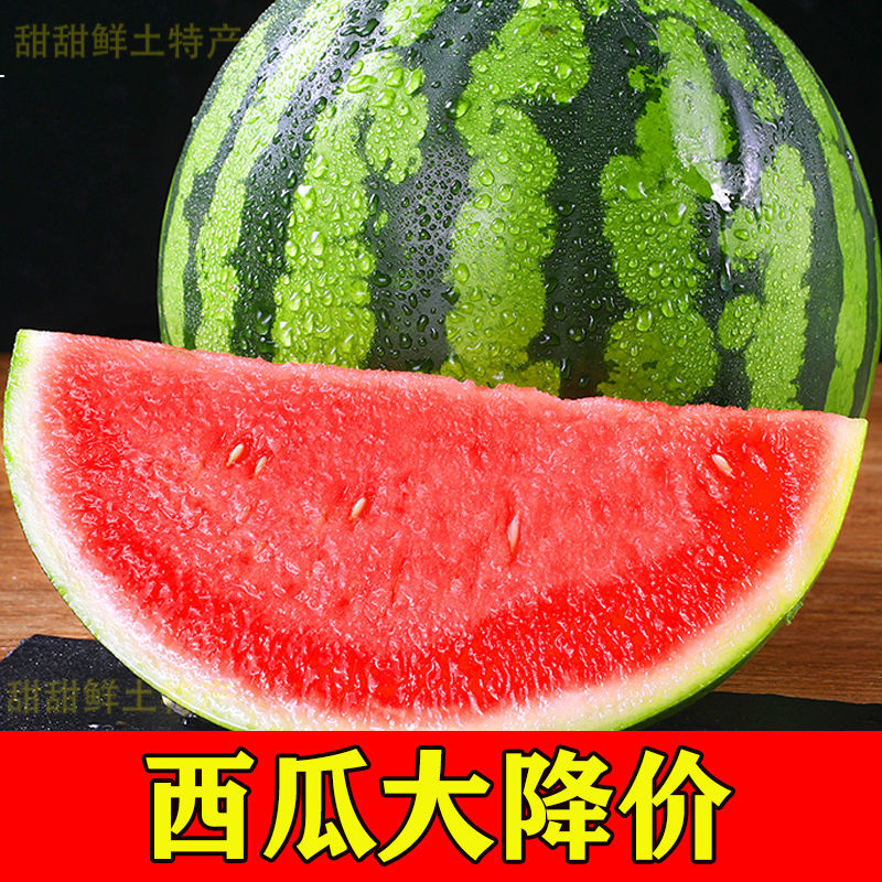 现摘超甜8424西瓜冰糖麒麟美都水果当季新鲜时令超甜孕妇营养瓜果