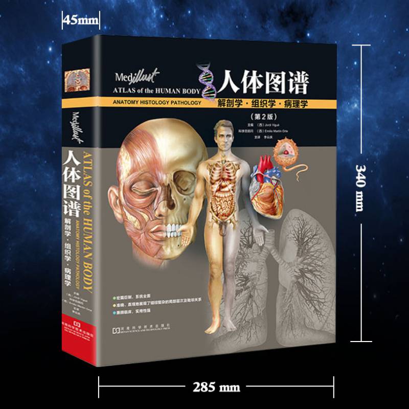 人体图谱解剖学组织学病理学第2版(精)李云庆人体解剖