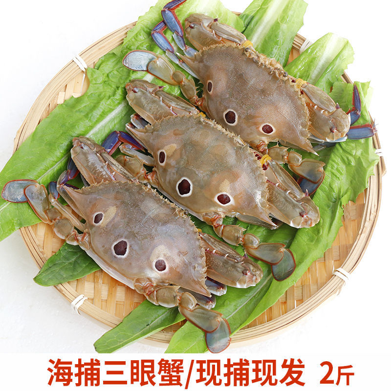 京战 当天海捕三眼蟹三点蟹红膏活冻红星福建 2斤装