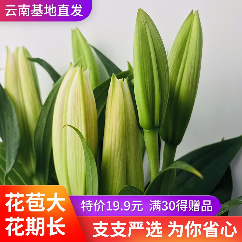 百合花 相关京东优惠商品 价格图片品牌优惠券 虎窝购