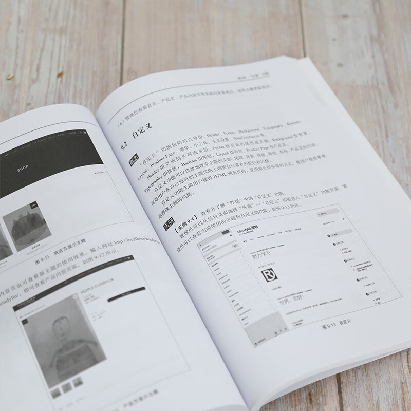 WordPress电子商务运营从入门到实战