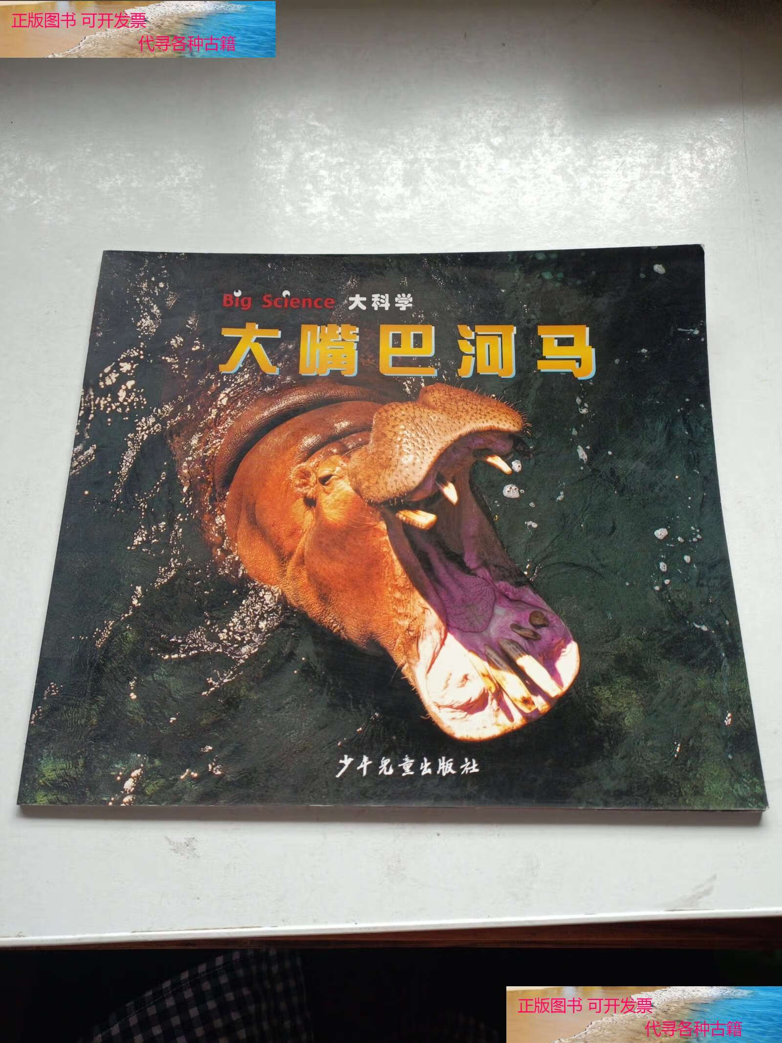 【二手书9成新】大科学 动物篇 大嘴巴河马 /(日)崛浩