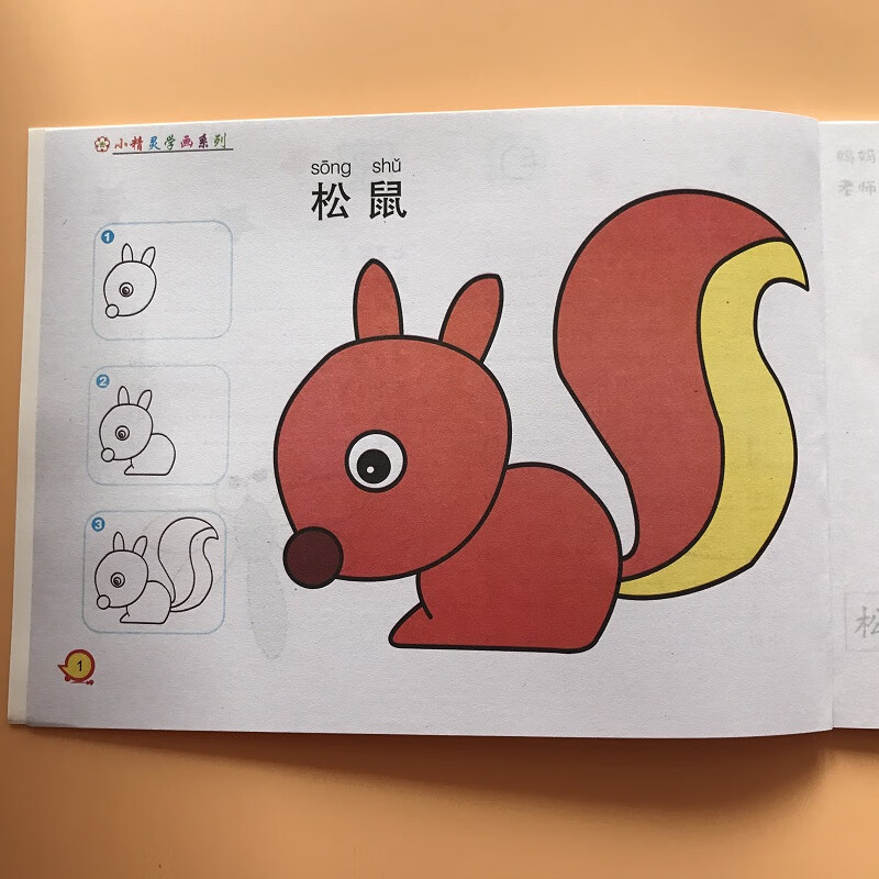 动物简笔画图片大全,50个小动物简笔画 动物涂色入门教程2-3-4-6岁学前班大班中班小班绘画教材分步学画简笔
