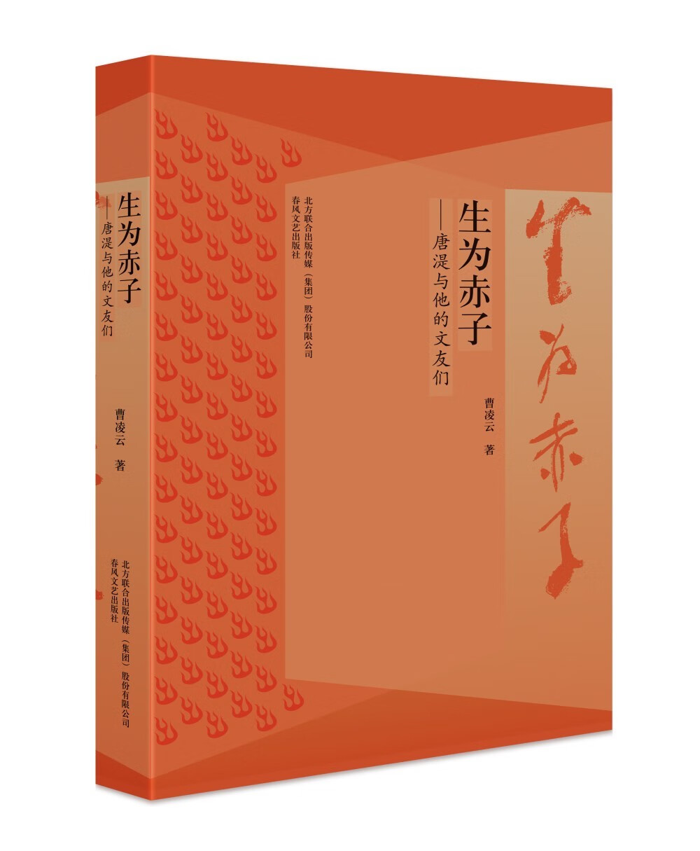 生为赤子-唐湜和他的文友们