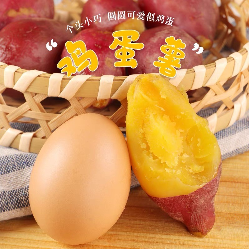 新鲜蔬菜现挖板栗红薯番薯粉糯香甜地瓜 鸡蛋薯(型似鸡蛋) 5斤