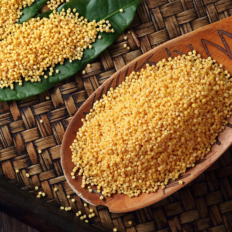 北京同仁堂秫米 北秫米中药材500g糯小米 黄糯 糯粟中草药店铺