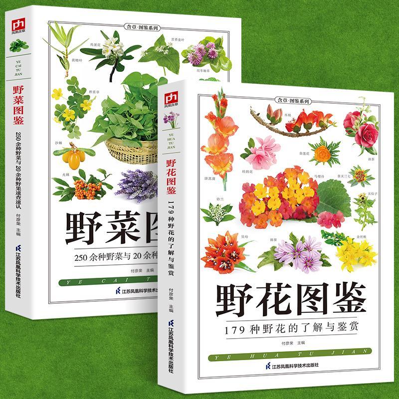 二手书铜版纸2册野菜图鉴野花图鉴常见花卉园林植物识别图鉴野外查