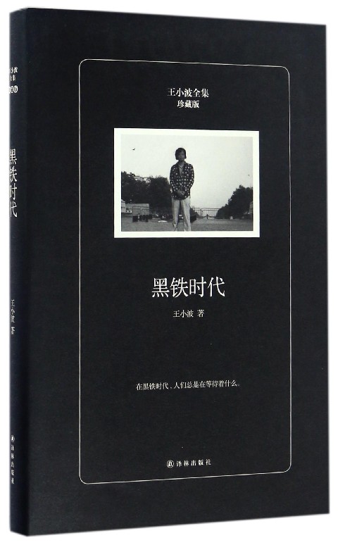 黑铁时代(珍藏版)(精)/王小波全集