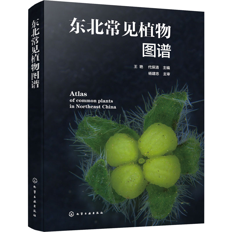 东北常见植物图谱 图书