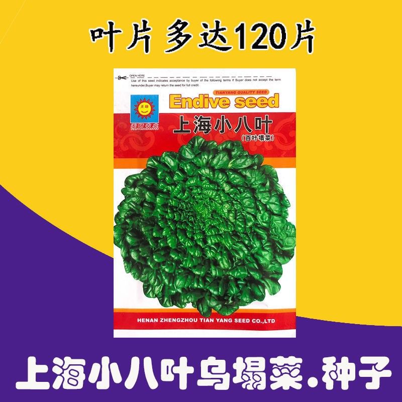 春枝韵上海小八叶乌塌菜种子 农田菜园叶片肥厚墨绿鲜嫩乌塌菜蔬菜