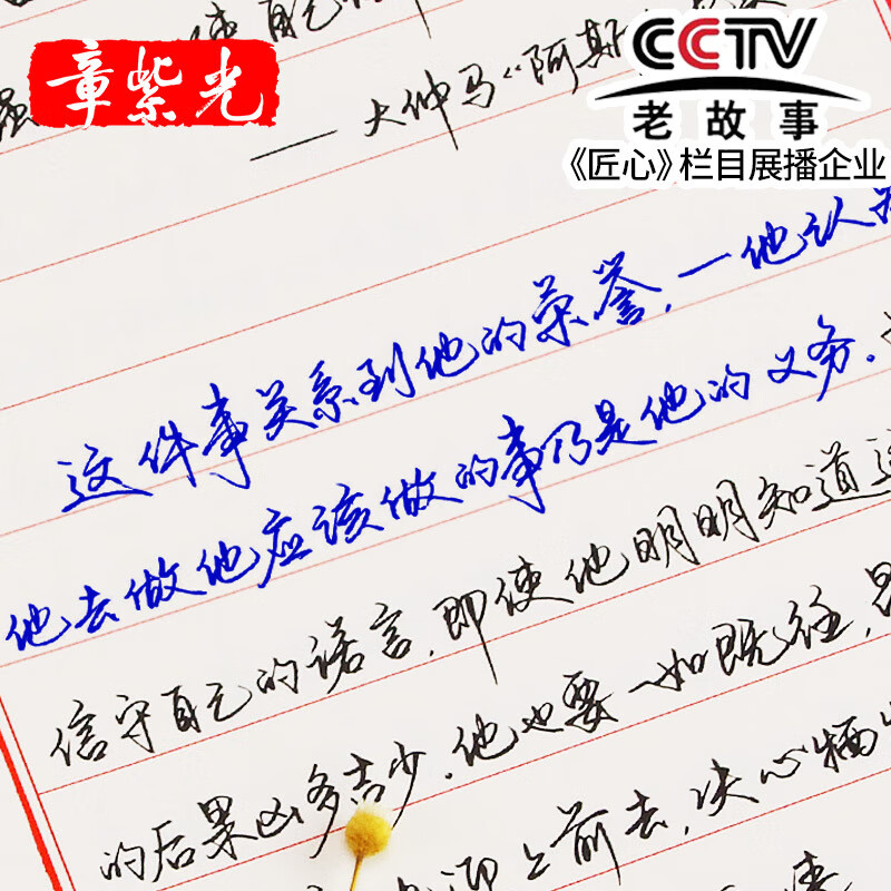 章紫光手写体字帖行楷速成钢笔练字帖硬笔临摹行草行书练字本反复使用