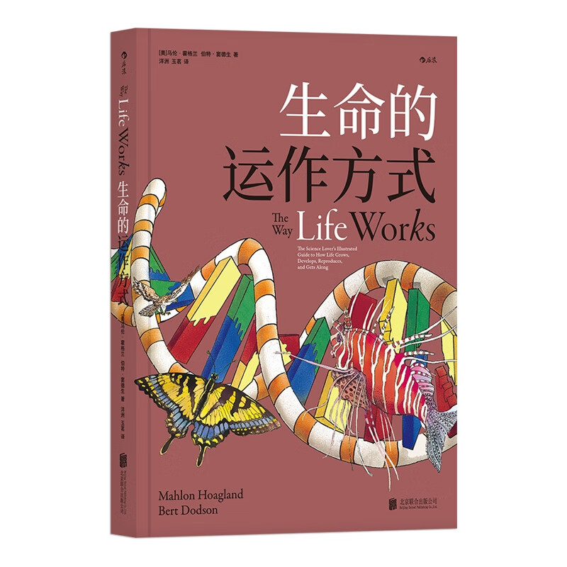 生命的运作方式
