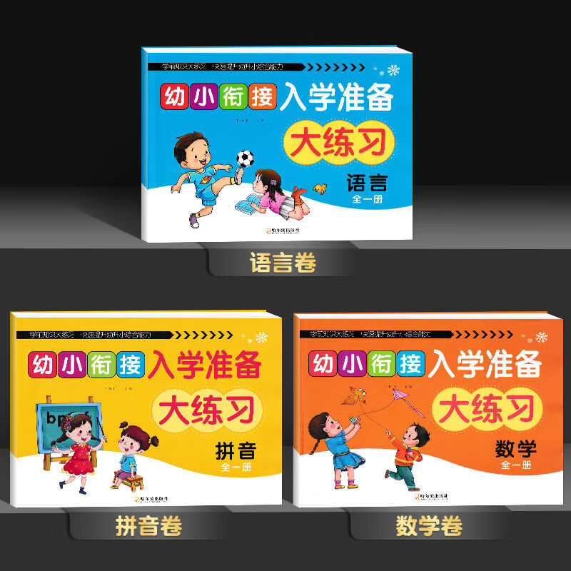 【二手9成新】-幼小衔接入学准备测试卷幼儿园大班升一年级拼音 穆