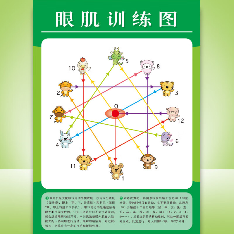 运动训练墙贴散光图增视图远眺图儿童视力表 罗辰 nf--2 眼叽训练图