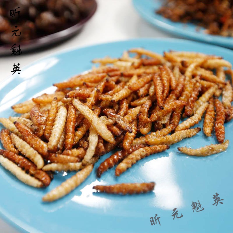 巢浩云南傣族美食油炸竹香虫香酥竹蜂昆虫美味舌尖上的美食竹林竹节虫