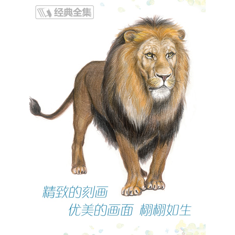 经典全集 彩铅动物手绘画入门临摹基础教程书籍素材色铅笔零基础初学