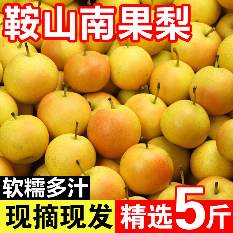 【新品】南果梨东北特产鞍山新鲜应季孕妇水果正宗酒梨香水梨 2斤 【礼盒】精选果/20枚 +礼推荐
