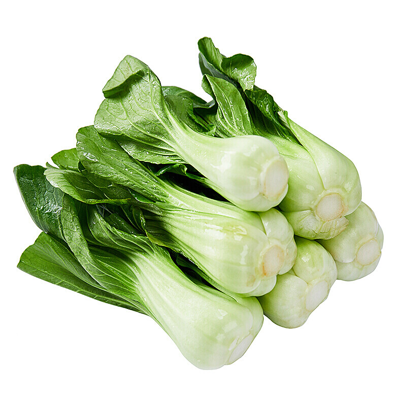 伯贤 上海青时令应季青菜新鲜蔬菜当季小青菜翠绿鲜嫩 1500g