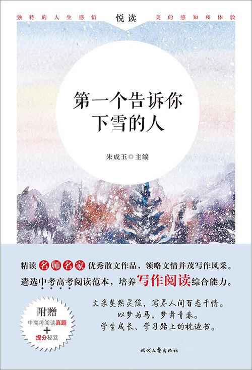 个告诉你下雪的人 朱成玉【正版】