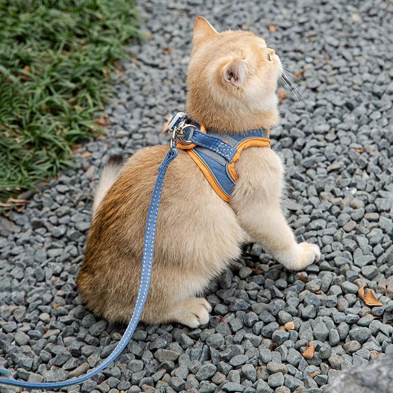 牵引绳胸背带京东史低|牵引绳胸背带价格比较