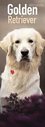 预订golden retriever 2022 slim calendar