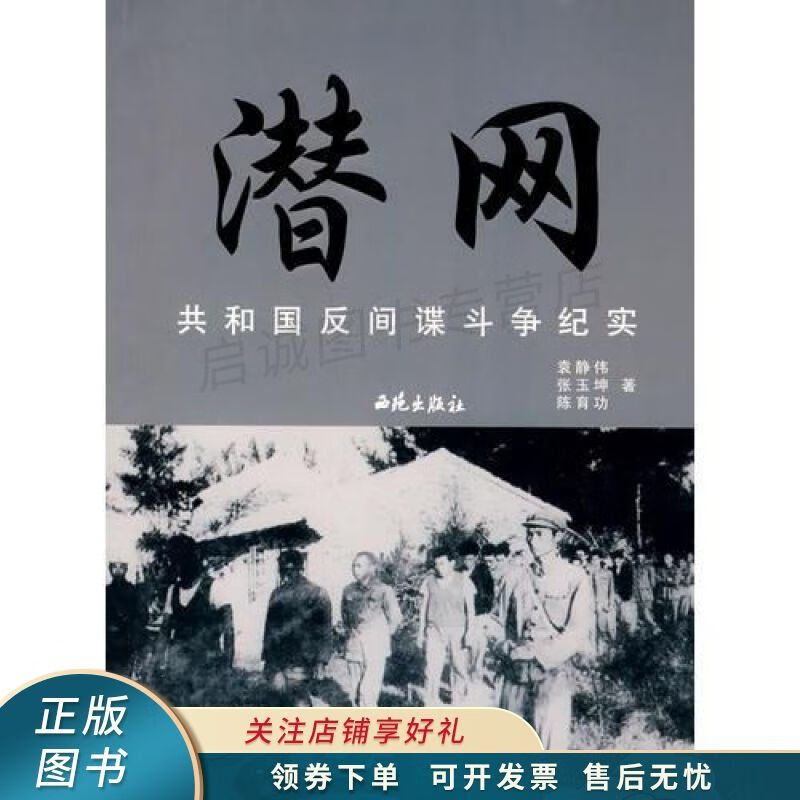 潜网－共和国反间谍斗争纪实