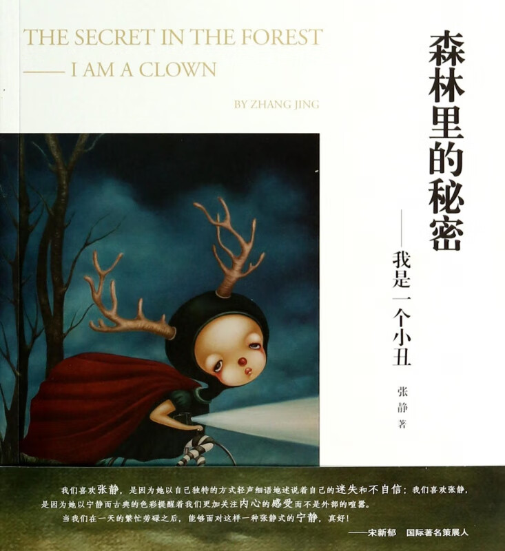 森林里的秘密--我是一个小丑