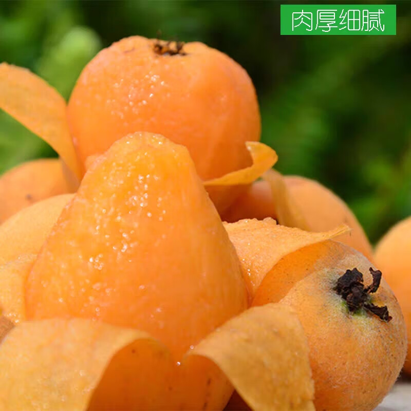 非四川水果枇杷甜枇杷三斤五斤礼盒装 三斤中果净重单个重量20-30克