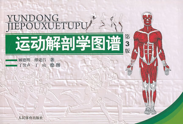 运动解剖学图谱第3版 顾德明,缪进昌著,丁誉声 等绘图 人民体育出版社