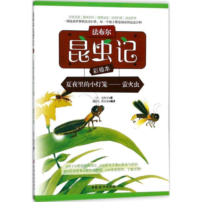 夏夜里的小灯笼 萤火虫