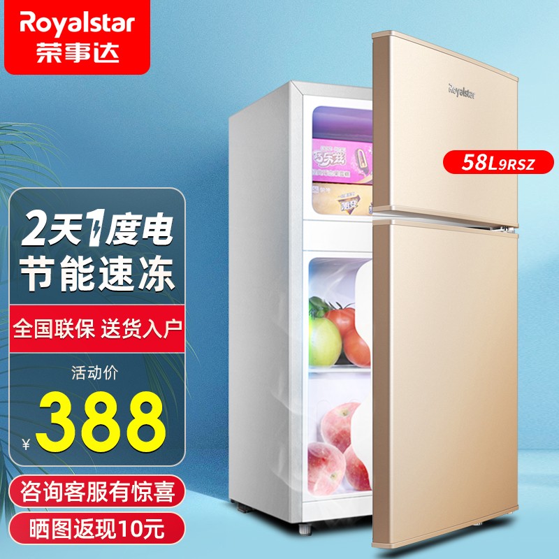 荣事达（Royalstar）【送货上门】迷你小冰箱小型 双门电冰箱家用宿舍冷藏冷冻节能静音 58L9RSZ(两天一度电)金色
