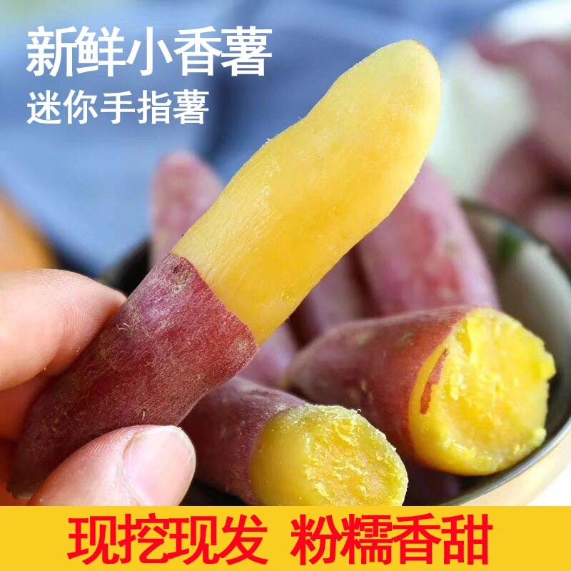 新鲜小香薯5斤 手指小香薯红薯蜜薯板栗薯红皮黄心蔬菜