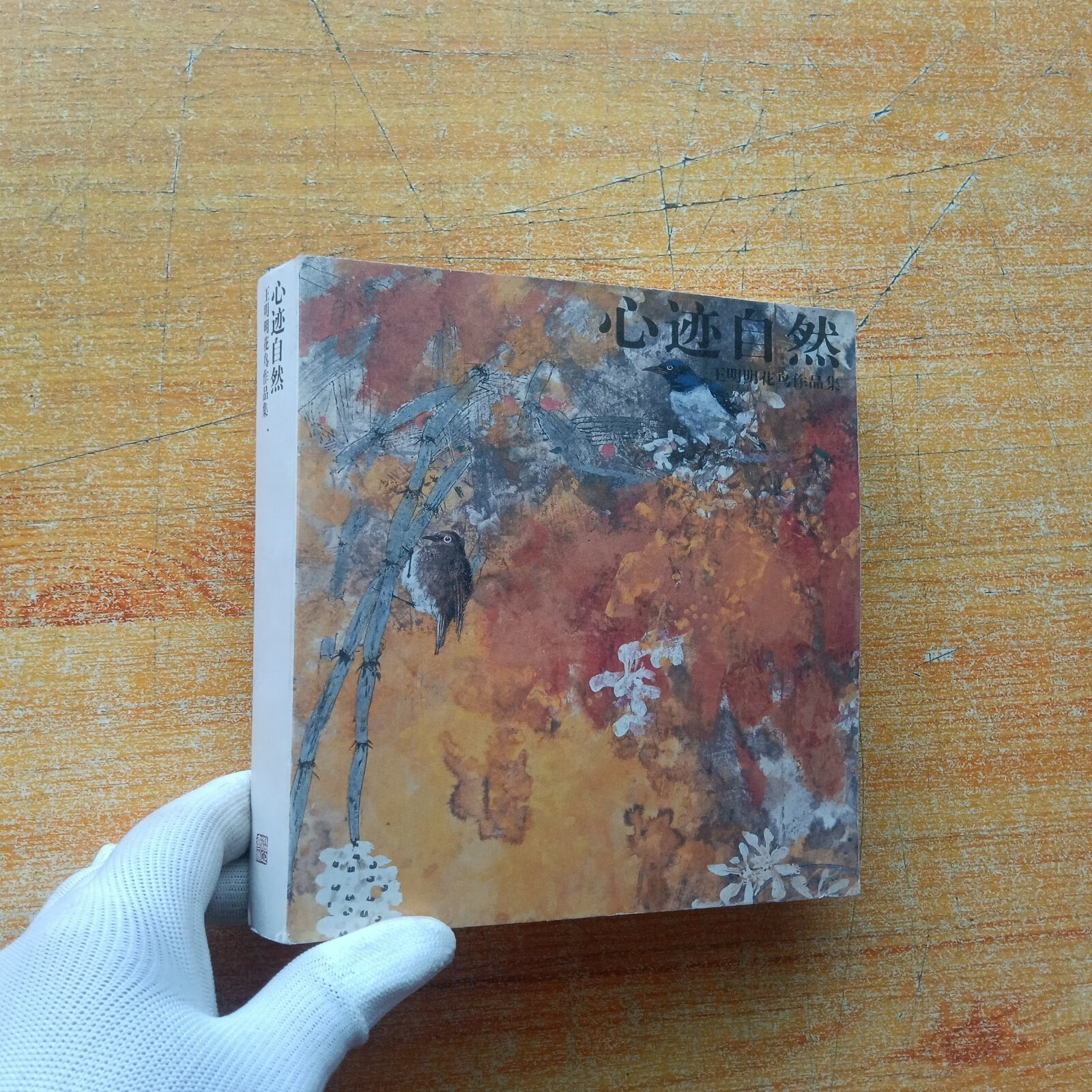 [二手9成新] 心迹自然 王明明花鸟作品集【内页干净】