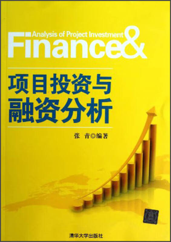 【新华书店】项目投资与融资分析