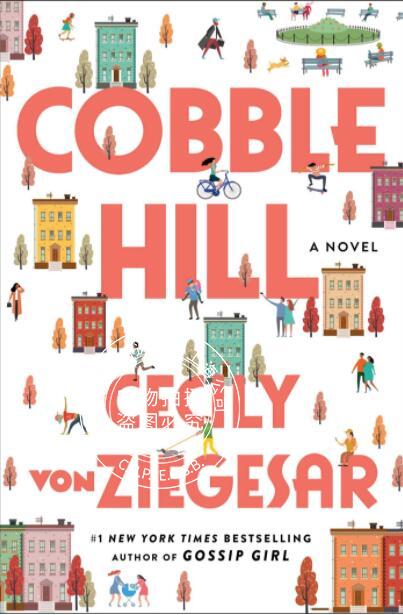 现货 Cobble Hill 英文原版 塞西莉·冯·齐格萨尔Cecily von Zieg