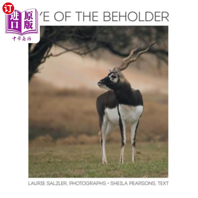 海外直订eye of the beholder 观察者之眼