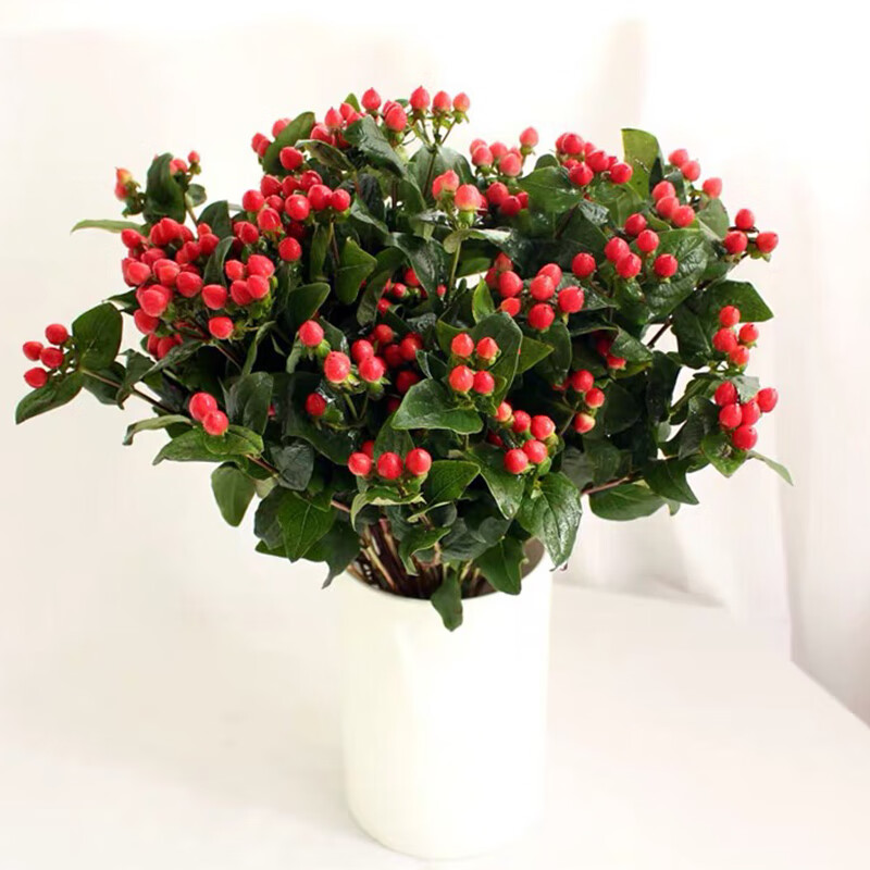 钟爱(love)云南昆明鲜花基地花材直发混搭花材尤加利叶红豆配草配花